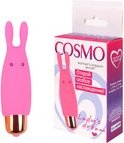 -  Cosmo -  sexshop 