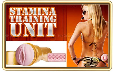 Fleshlight Stamina Training Unit   ,  4, Fleshlight Stamina Training Unit   